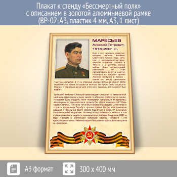 Плакат к стенду «Бессмертный полк» с описанием в золотой (матовой) алюминиевой рамке (BP-02-A3, пластик 4 мм, А3, 1 лист)